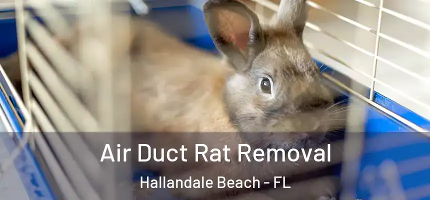  Air Duct Rat Removal Hallandale Beach - FL