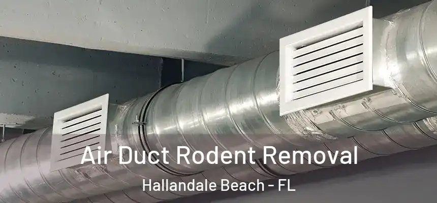  Air Duct Rodent Removal Hallandale Beach - FL