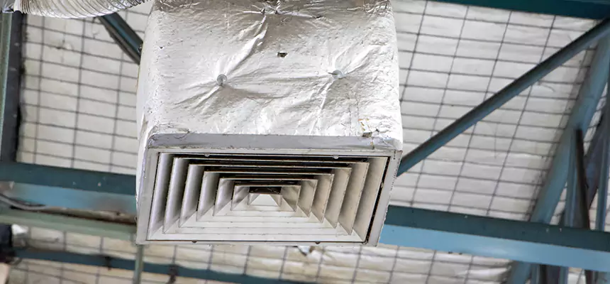 Our HVAC Mold Remediation Service Services in Hallandale Beach, FL