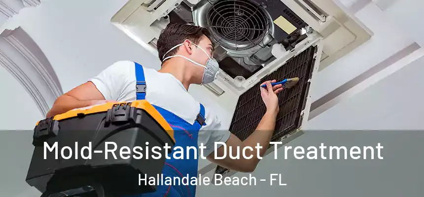  Mold-Resistant Duct Treatment Hallandale Beach - FL
